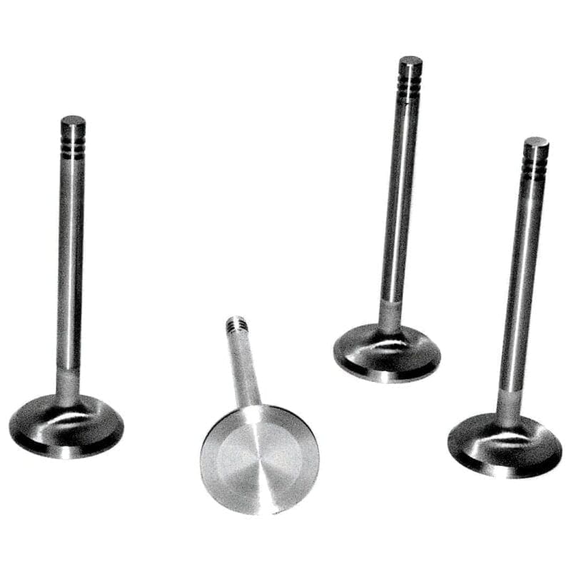 STAINLESS STEEL OVERSIZE TYPE 4 RACING VALVES